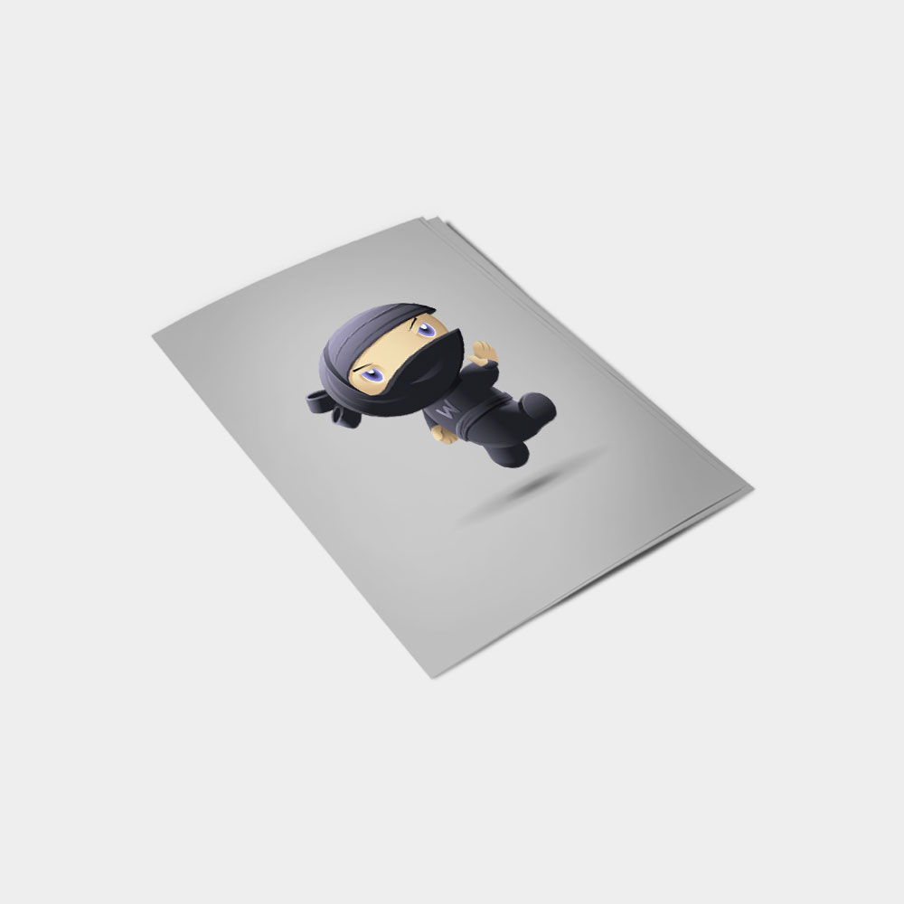 Flying Ninja - Slika 2